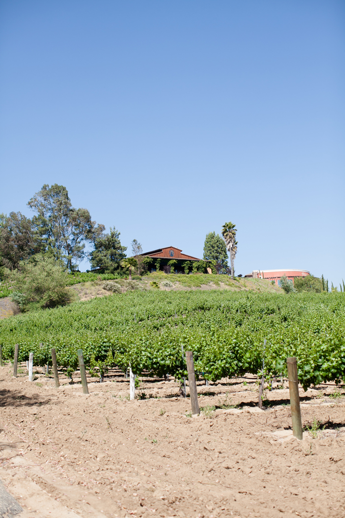 FALKNER WINERY WEDDING_17