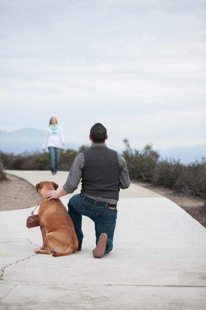 ORANGE COUNTY PROPOSAL_03