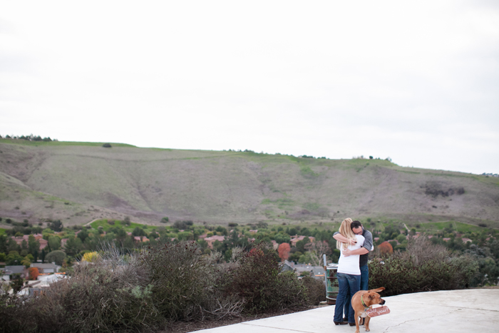 ORANGE COUNTY PROPOSAL_04