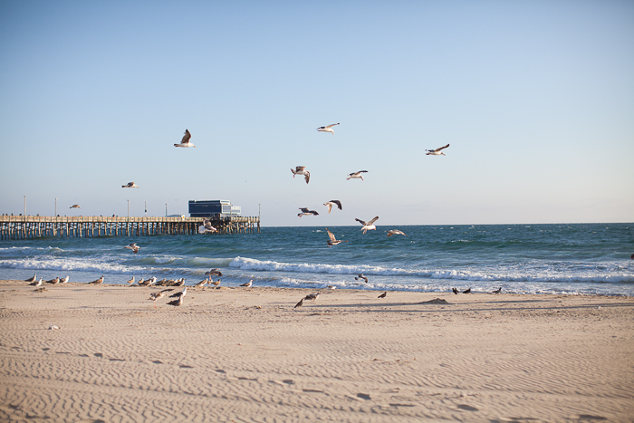 NEWPORT BEACH ENGAGEMENT_0015