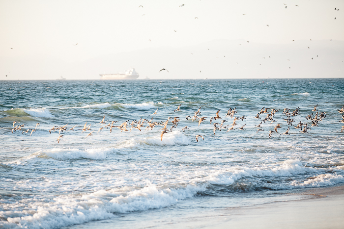 Manhattan Beach Maternity Session-15