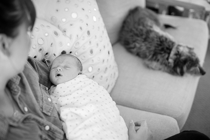 Orange County Newborn Photography JL Photographers 14