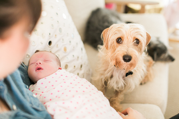 Orange County Newborn Photography JL Photographers 29