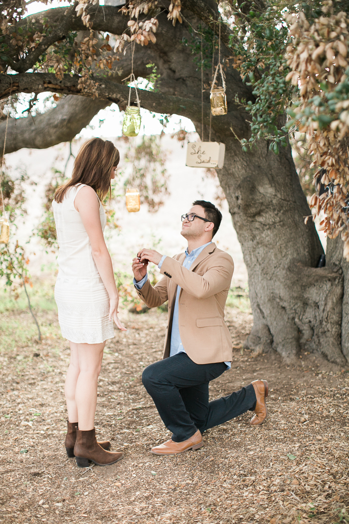 proposal-photography-12